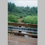 Range Road (Chemin des Allemans) bridge over Carriere Creek 1995<br>Looking South
<br>Source: images/5DApr14/0005DApr14/ (187.64 KB)