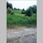 Site of the Philip GOATCHER farmhouse in Farmborough, , QC, Canada. 1995 <br> With the former well site by the purple lupins (flowers) on the left, viewed from the culvert on Range Road<br>Source: images/5DApr14/0005DApr14/ (224.87 KB)