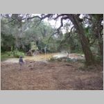 David COLE at a swamp at the Historic Spanish Village in Florida 2009 (993.96 KB)