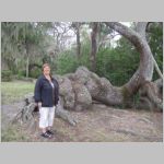 Yvette RICHARD at a swamp in the Historic Spanish Village in Florida.  2009 (946.31 KB)