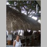 Yvette RICHARD under the roof built around a tree at an outdoor restaurant in Sarasota harbor.  2009 (968.95 KB)