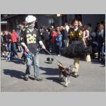 The dog parade at the Mardi Gras festival in New Orleans, Louisiana. 2010 (972.15 KB)