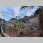 The tiny palm tree and the tiny normal tree are in front of the house on the hill where Yvette RICHARD and Dave COLE were staying in Parker, Arizona, USA. 2010 (859.33 KB)